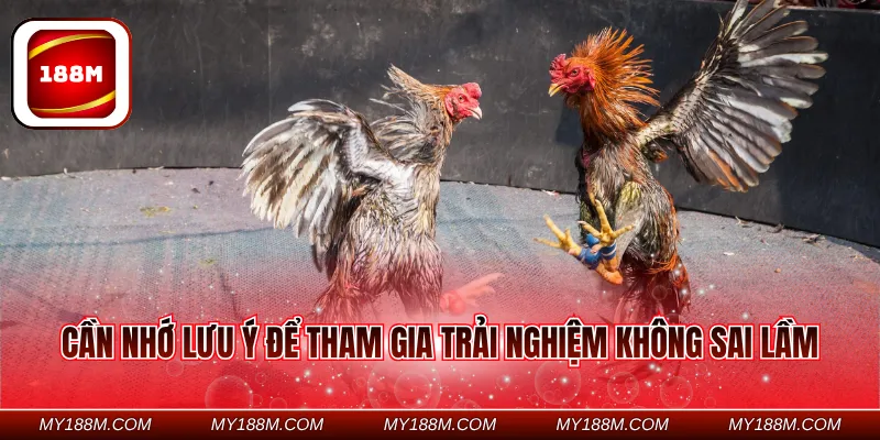 Cần nhớ lưu ý để tham gia trải nghiệm không sai lầm