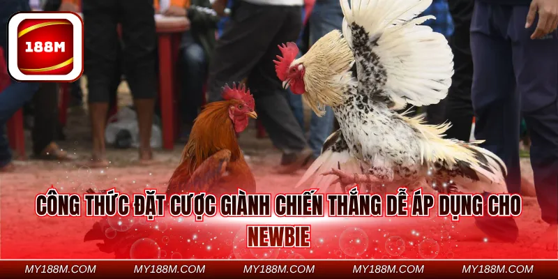 Công thức đặt cược giành chiến thắng dễ áp dụng cho Newbie