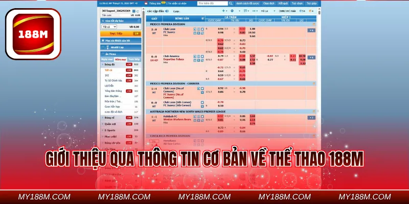 Giới thiệu qua thông tin cơ bản về thể thao 188M