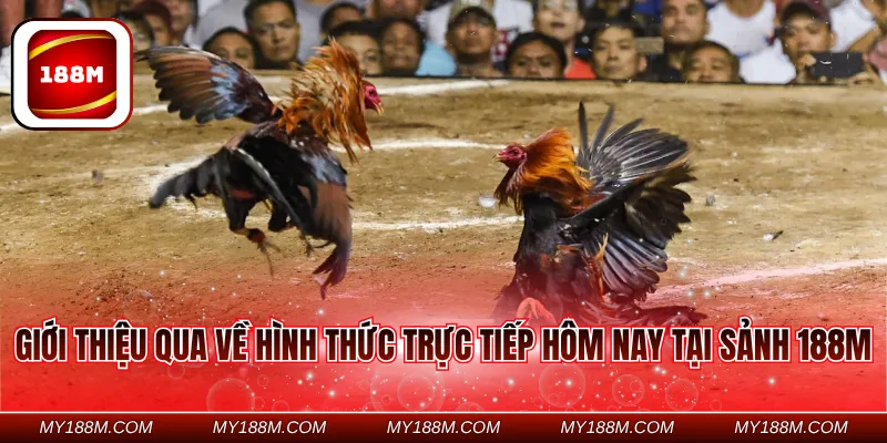 Giới thiệu qua về hình thức trực tiếp hôm nay tại sảnh 188M