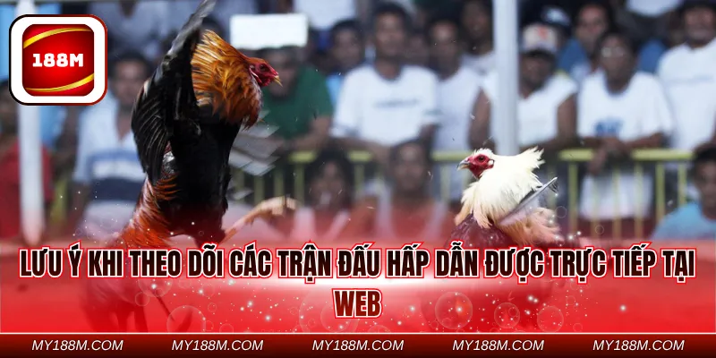Lưu ý khi theo dõi các trận đấu hấp dẫn được trực tiếp tại web