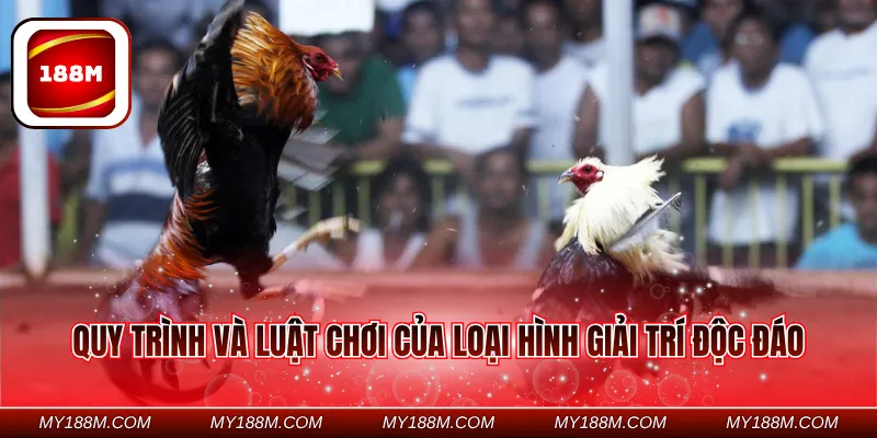 Quy trình và luật chơi của loại hình giải trí độc đáo