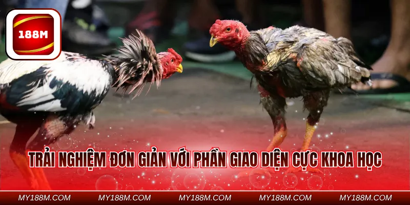 Trải nghiệm đơn giản với phần giao diện cực khoa học