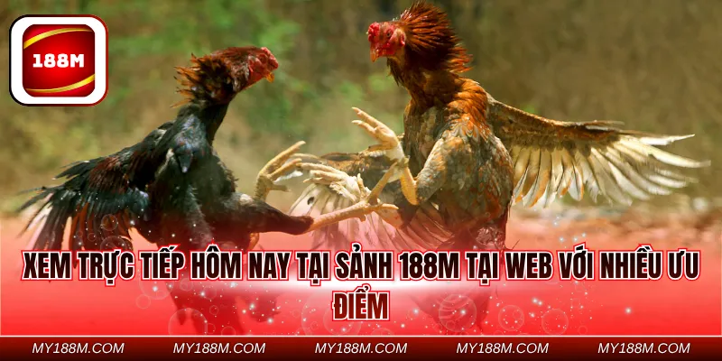 Xem trực tiếp hôm nay tại sảnh 188M tại web với nhiều ưu điểm